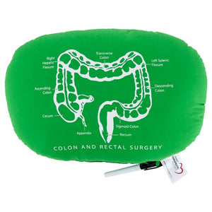 Oval Pillow with Colon/Rectal Diagram