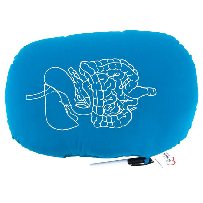 Oval Pillow with Gastrointestinal Diagram