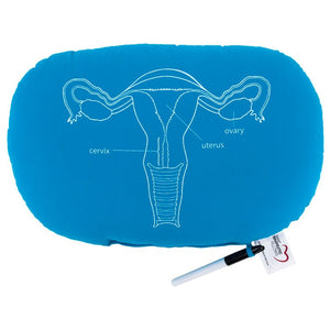 Oval Pillow with OB-GYN Diagram